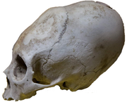 Museo La Recoleta Arequipa