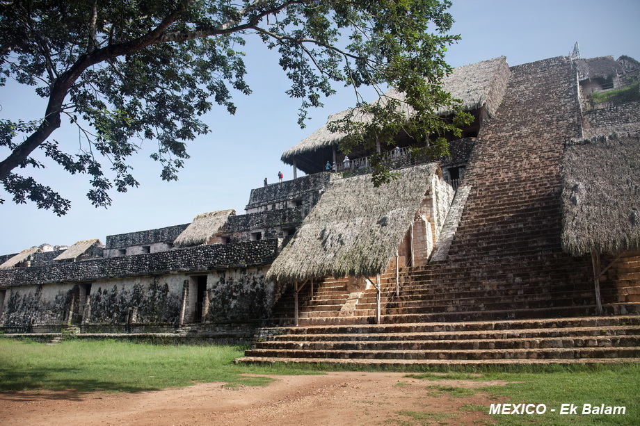 Maya Architecture
