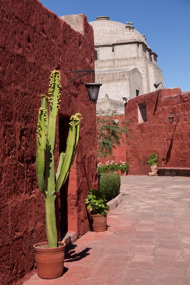 Santa Catalina Monastery