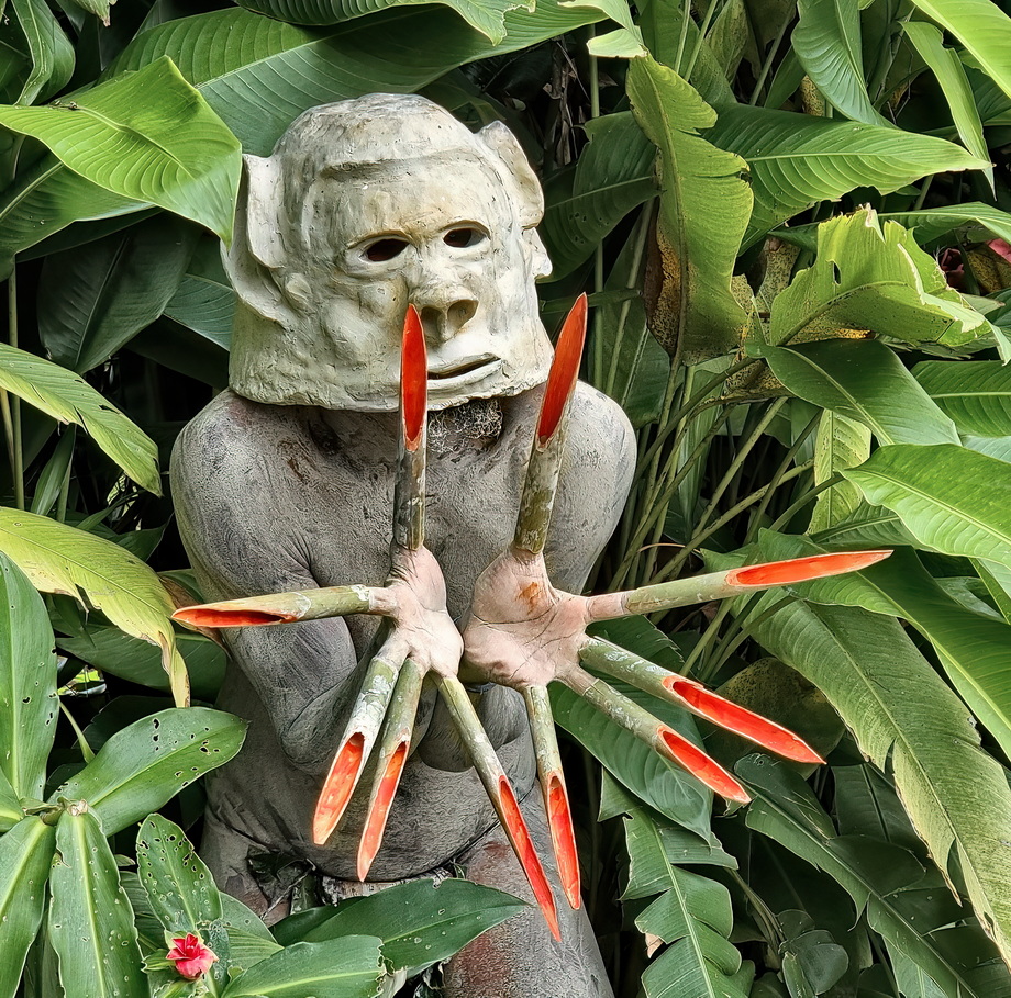 Asaro People