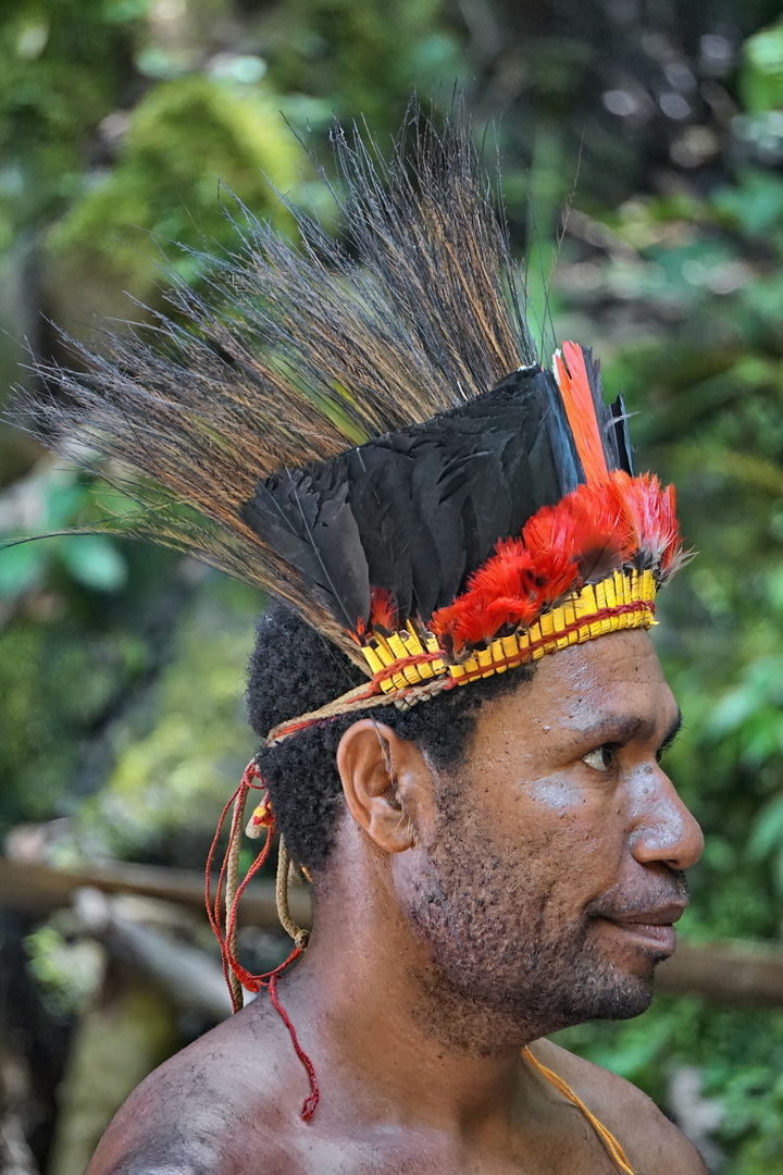 Asaro People