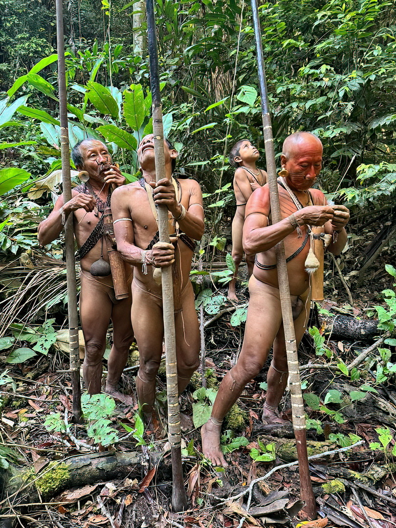 Matis People