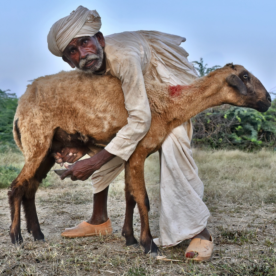 Rabari People