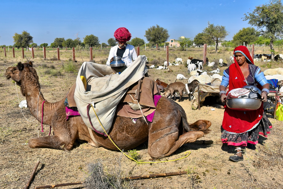 Rabari People