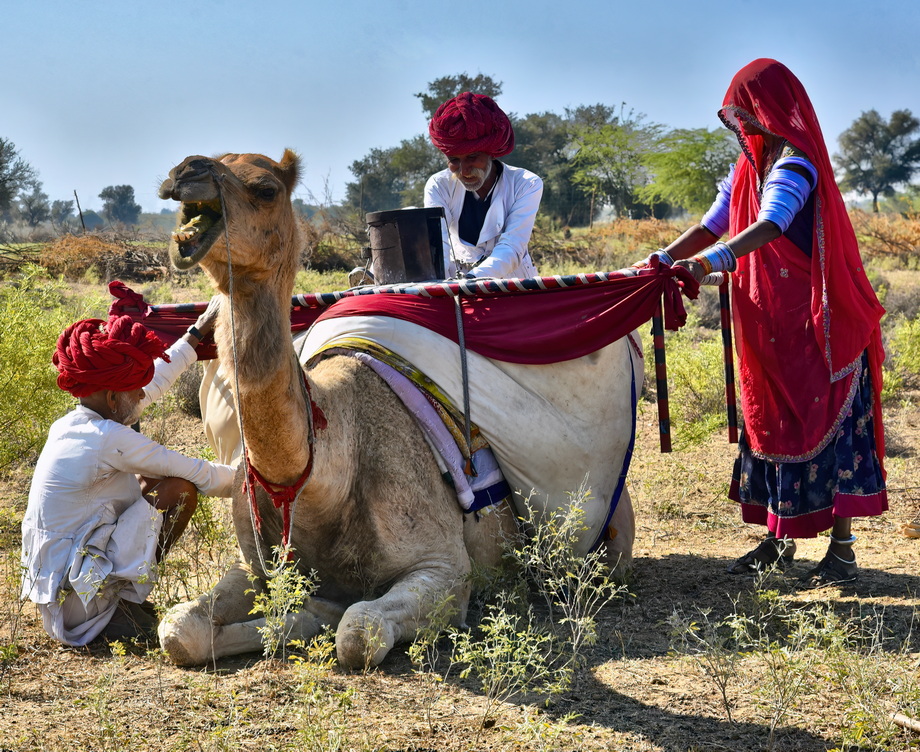 Rabari People