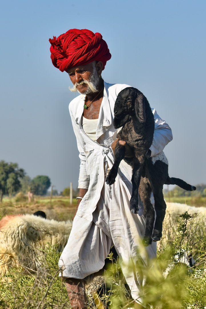 Rabari People