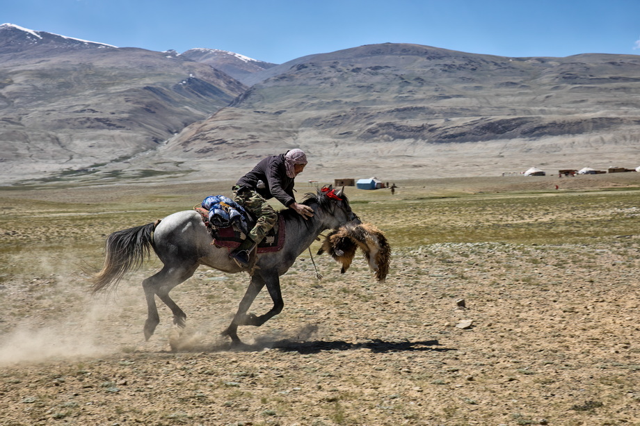 Buzkashi Game