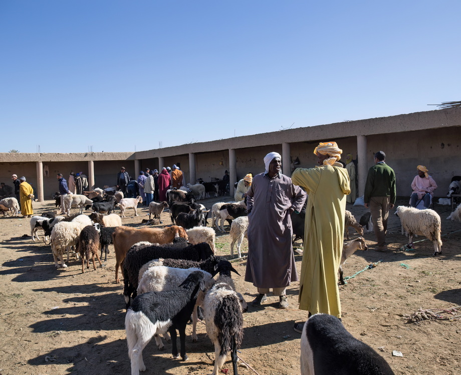 People and life in Morocco
