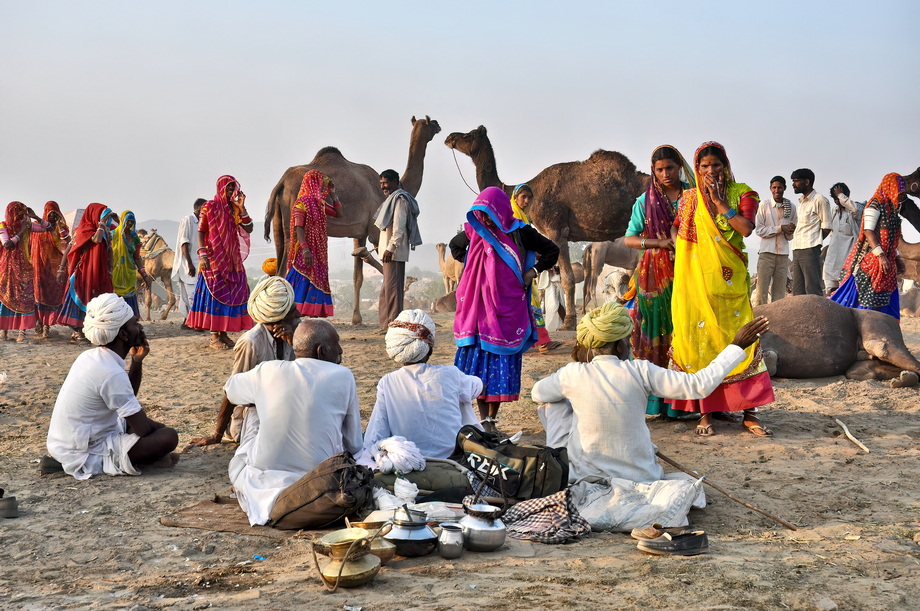 Pushkar Cattle Fair