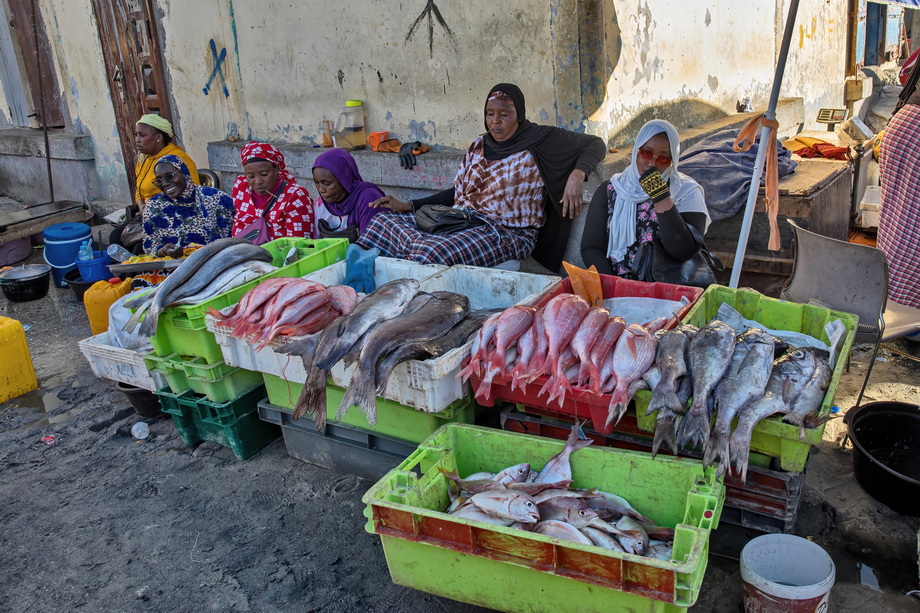Fishers of Senegal and Mauritania