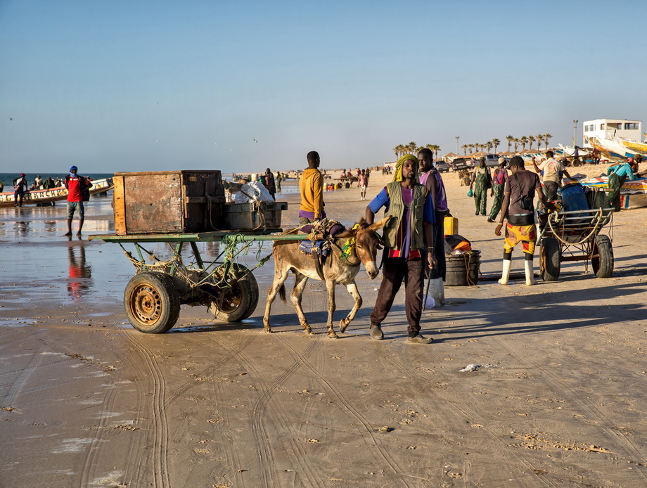 Fishers of Senegal and Mauritania