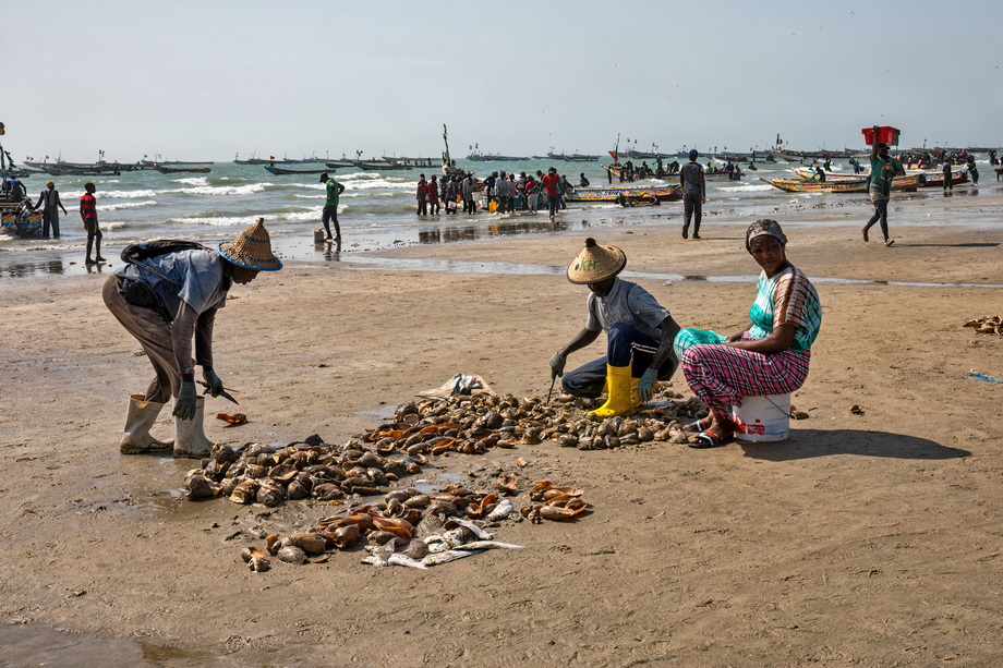 Fishers of Senegal and Mauritania
