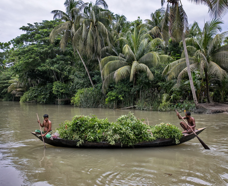 Floating Markets of Bangladesh