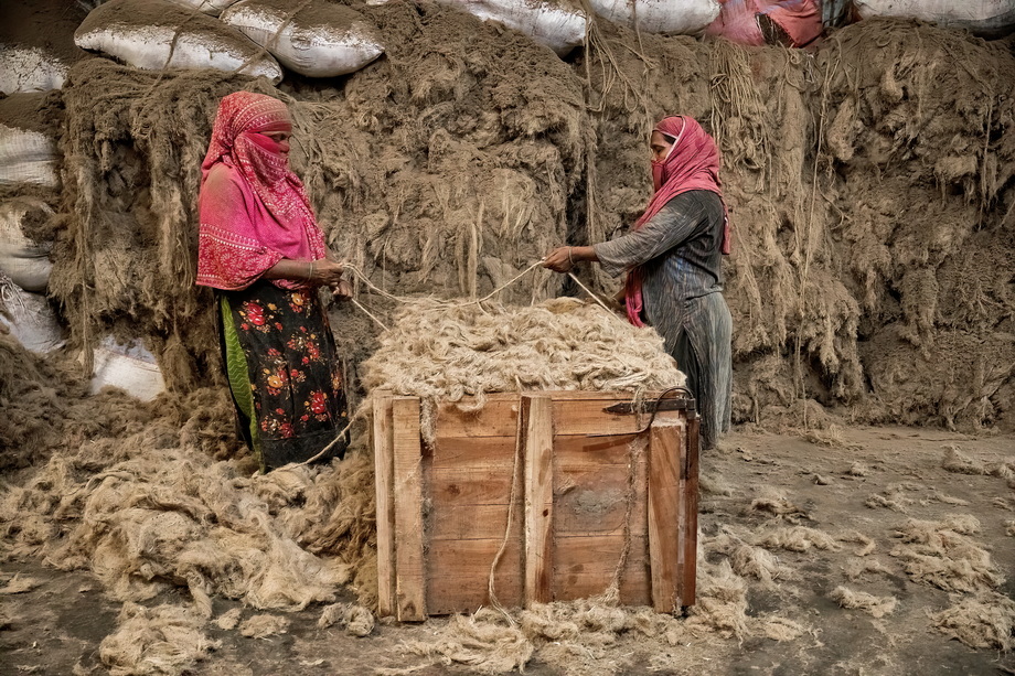 Jute harvesting and processing in Bangladesh