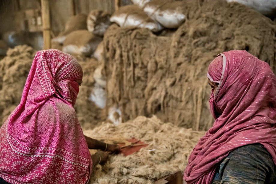 Jute harvesting and processing in Bangladesh