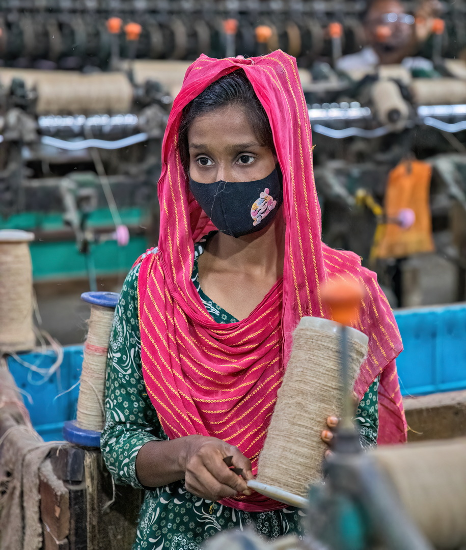 Jute harvesting and processing in Bangladesh