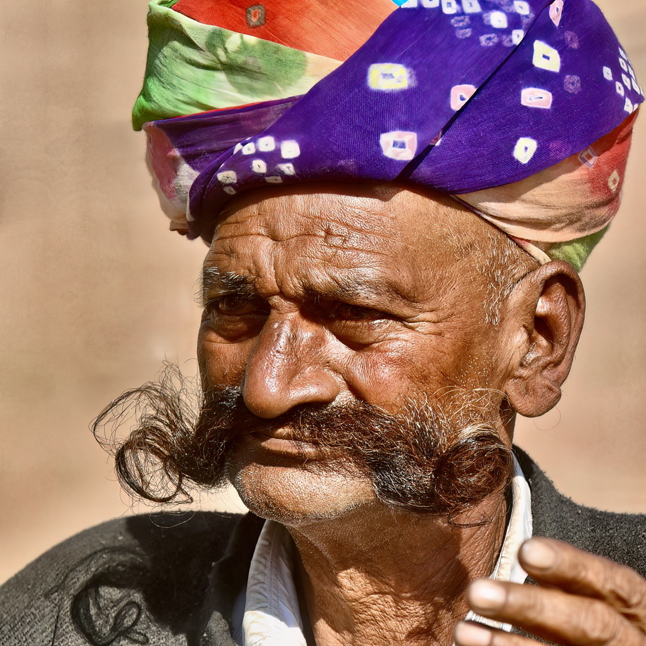 Nagaur Cattle Fair