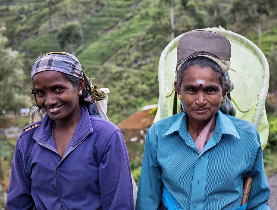 Tea pickers in Sri Lanka