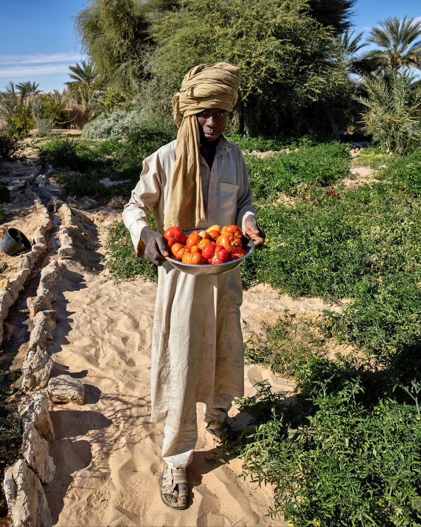 Toubou People