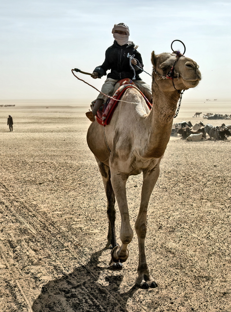 Toubou People
