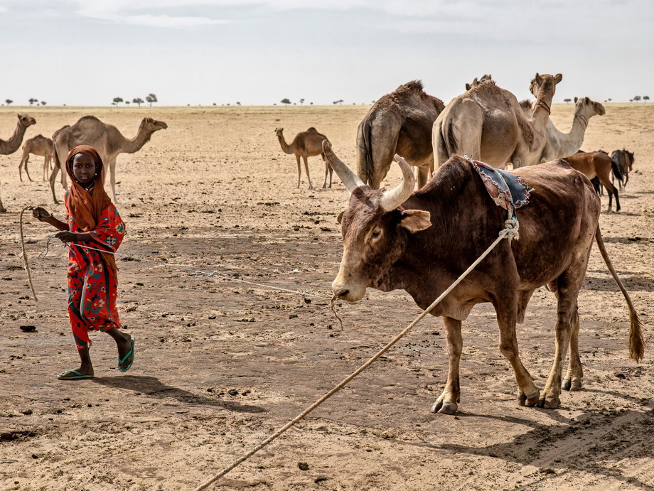 Toubou People
