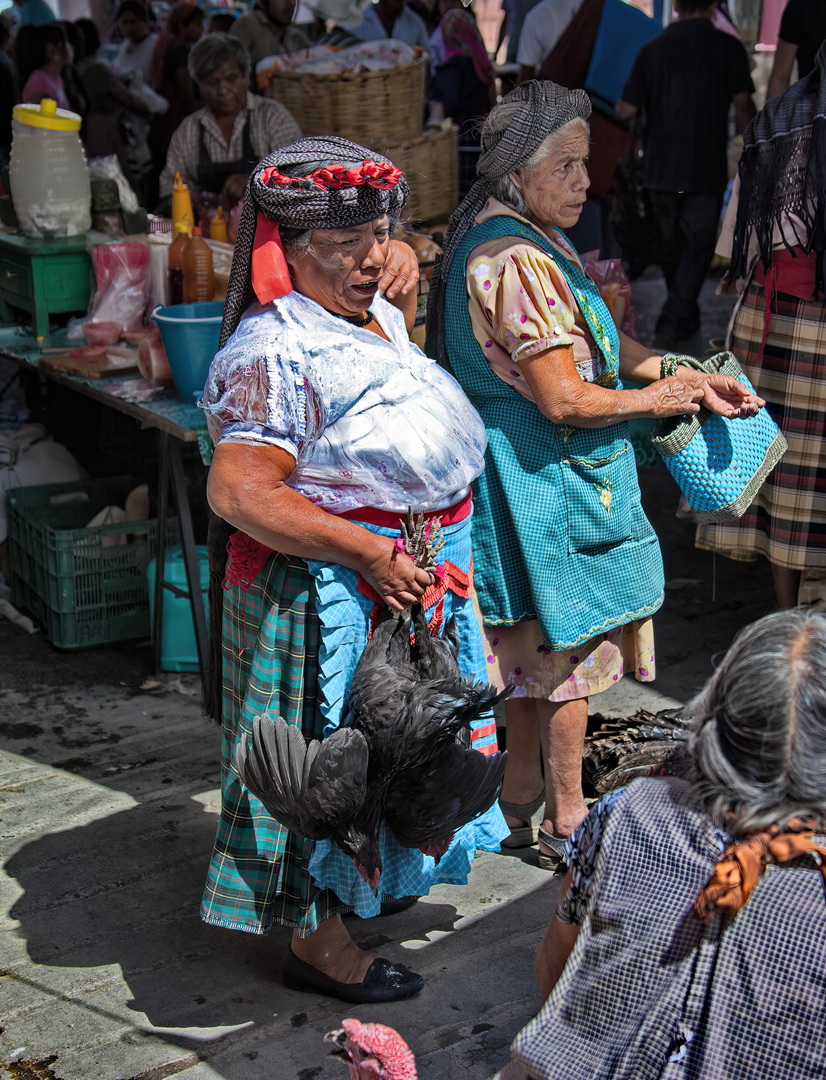 Zapotec People