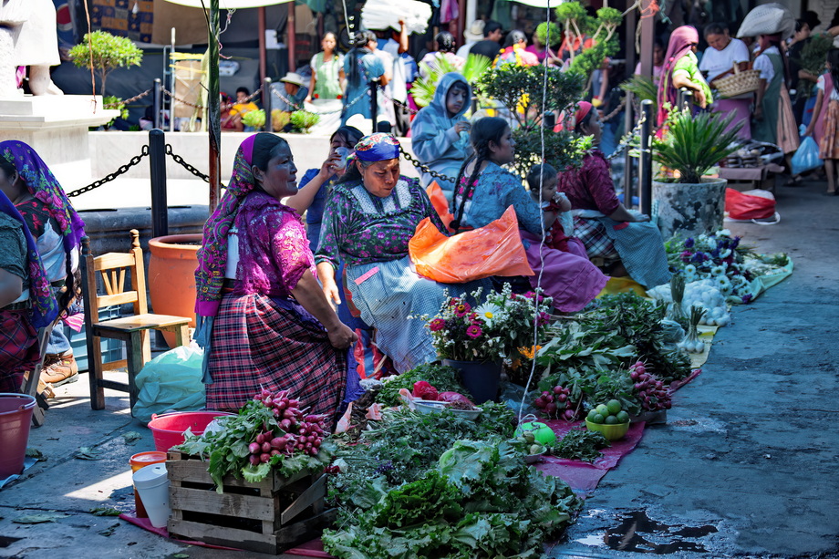 Zapotec People
